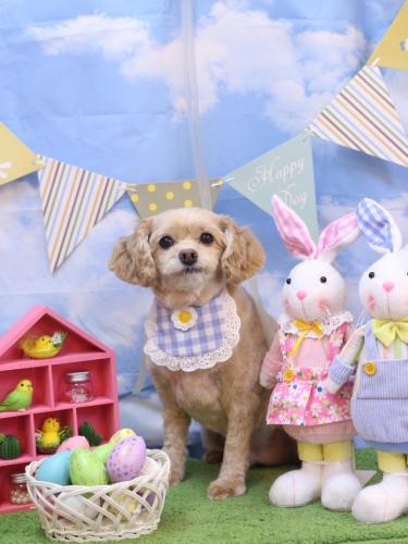 20240309ブランくん